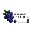 @blueberrystudio.in